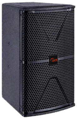 Loa Hội Trường JDS PM-8