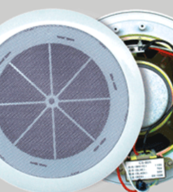 Loa ÂM Trần JDS DA-801