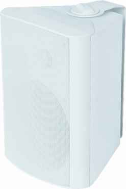 Loa Treo Tường JDS JD-40