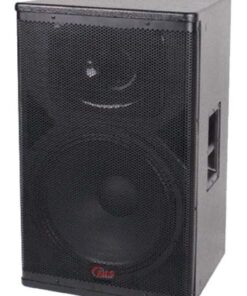Loa Hội Trường JDS PD-315
