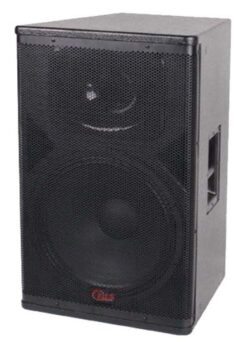 Loa Hội Trường JDS PD-315
